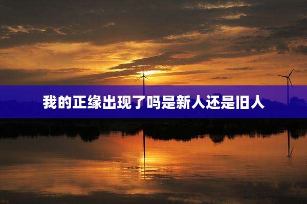 我的正缘出现了吗是新人还是旧人