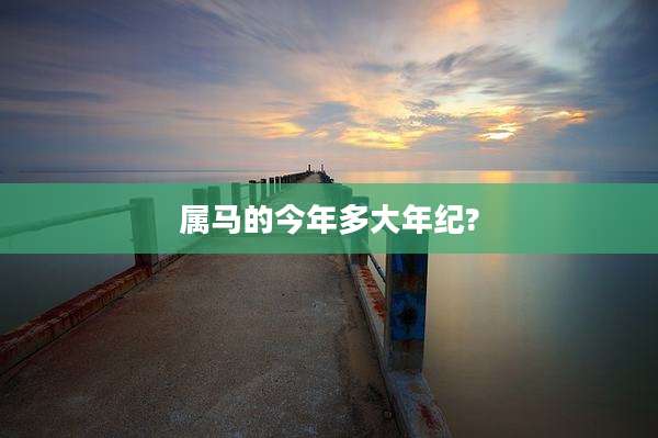 属马的今年多大年纪?