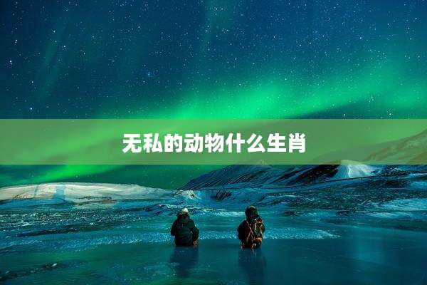 无私的动物什么生肖