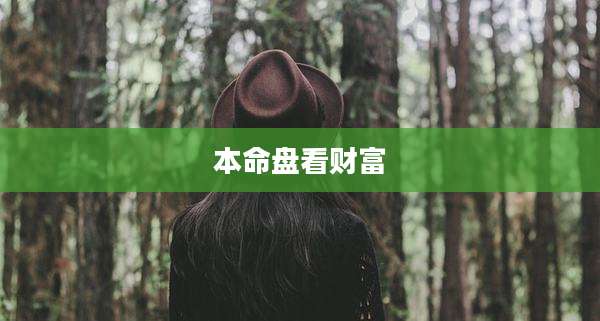 本命盘看财富