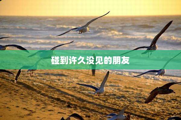 碰到许久没见的朋友