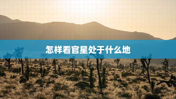 怎样看官星处于什么地