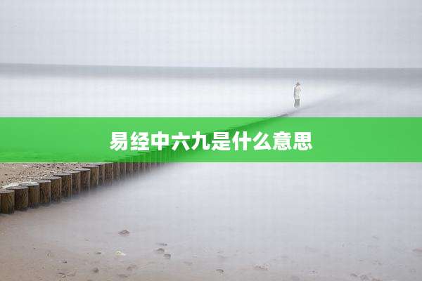 易经中六九是什么意思
