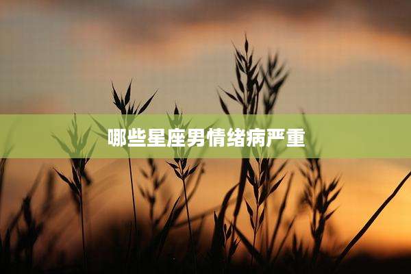 哪些星座男情绪病严重