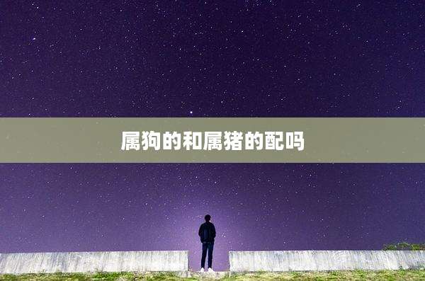 属狗的和属猪的配吗