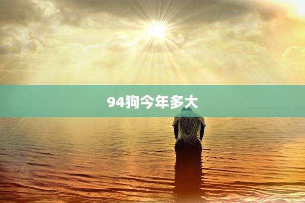 94狗今年多大