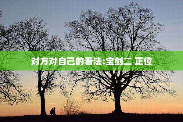 对方对自己的看法:宝剑二 正位