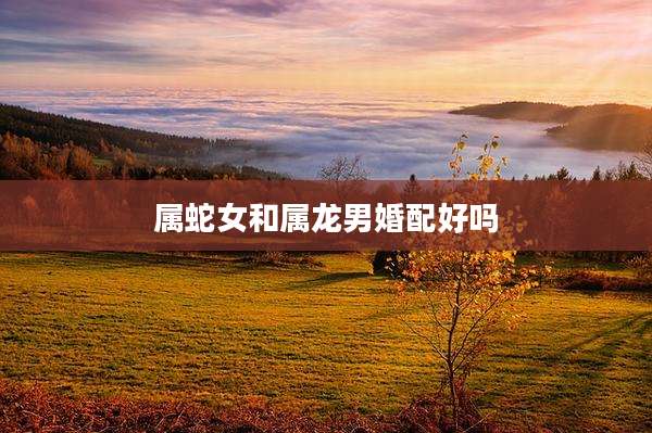 属蛇女和属龙男婚配好吗