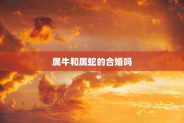 属牛和属蛇的合婚吗