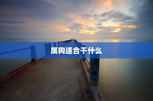 属狗适合干什么