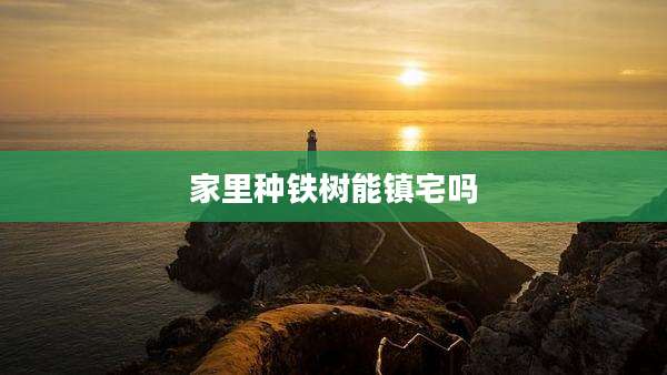 家里种铁树能镇宅吗
