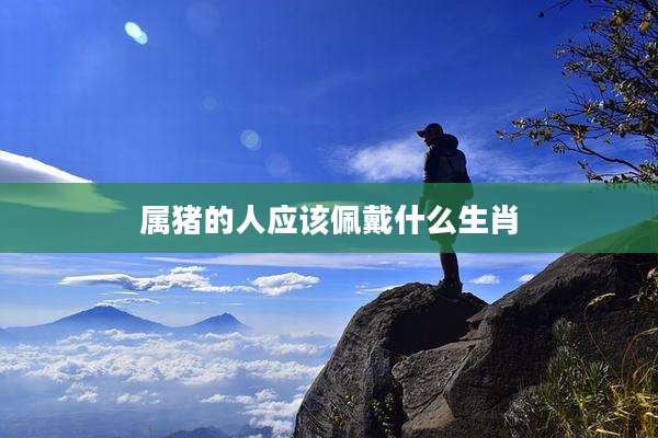 属猪的人应该佩戴什么生肖
