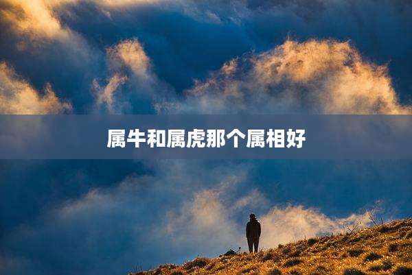 属牛和属虎那个属相好