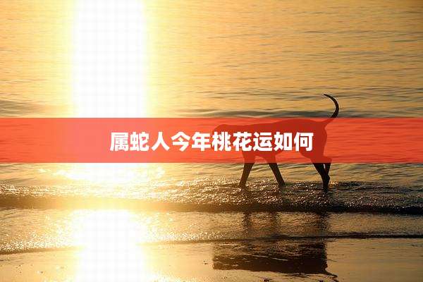 属蛇人今年桃花运如何