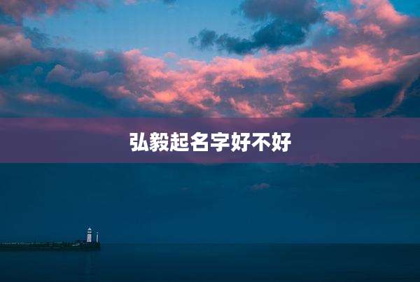 弘毅起名字好不好