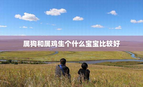 属狗和属鸡生个什么宝宝比较好