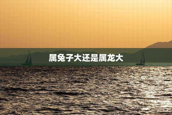 属兔子大还是属龙大