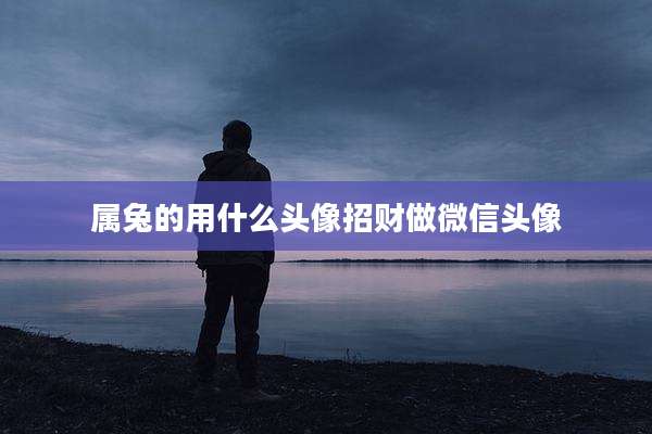 属兔的用什么头像招财做微信头像