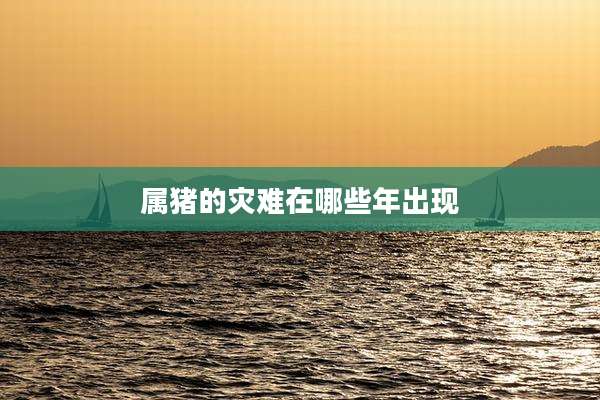 属猪的灾难在哪些年出现