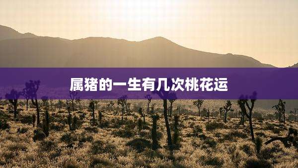 属猪的一生有几次桃花运