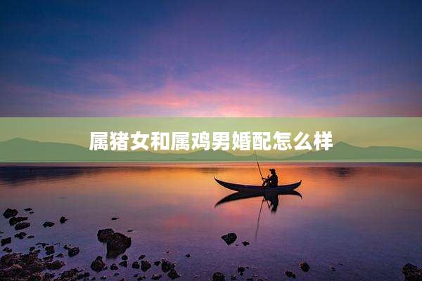 属猪女和属鸡男婚配怎么样