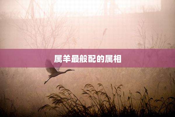 属羊最般配的属相