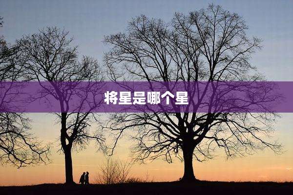 将星是哪个星