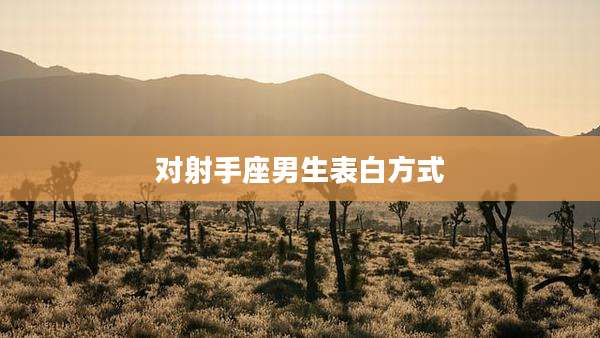 对射手座男生表白方式