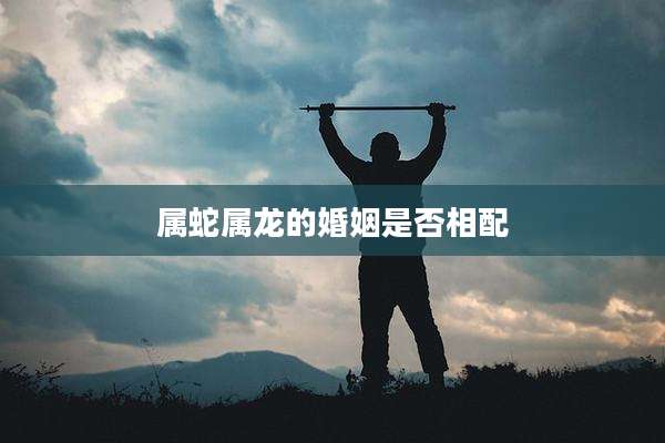 属蛇属龙的婚姻是否相配