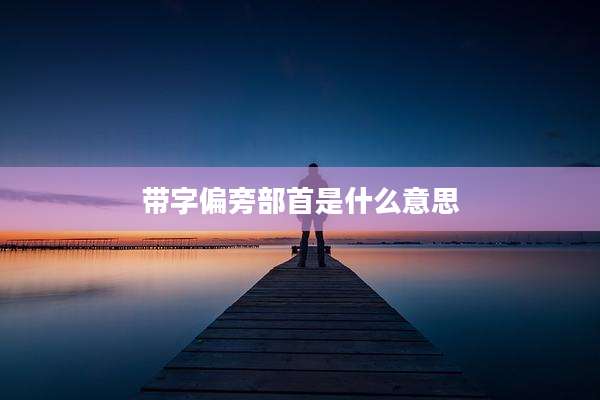 带字偏旁部首是什么意思