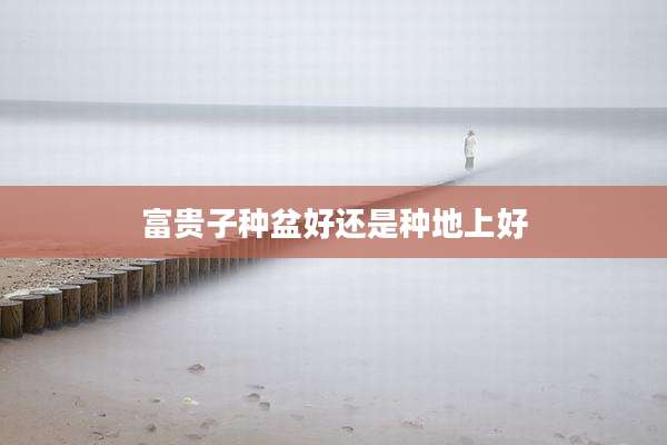 富贵子种盆好还是种地上好