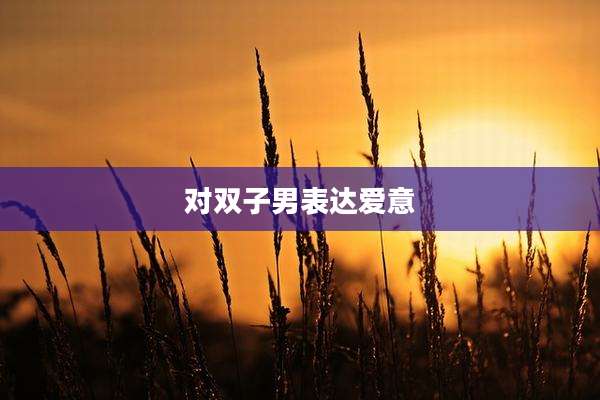 对双子男表达爱意