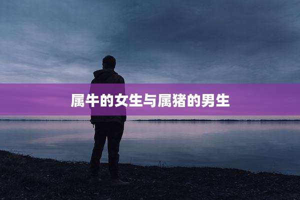 属牛的女生与属猪的男生