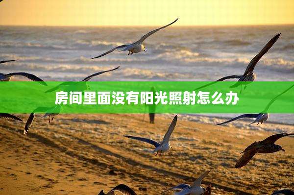 房间里面没有阳光照射怎么办