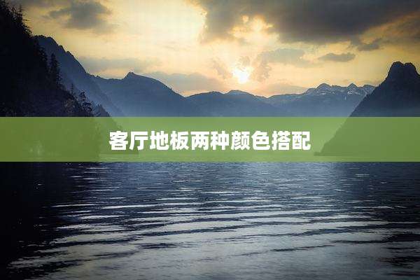 客厅地板两种颜色搭配