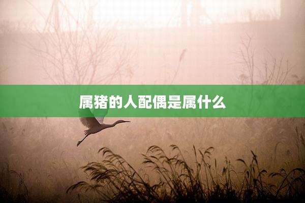 属猪的人配偶是属什么