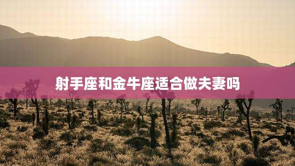 射手座和金牛座适合做夫妻吗