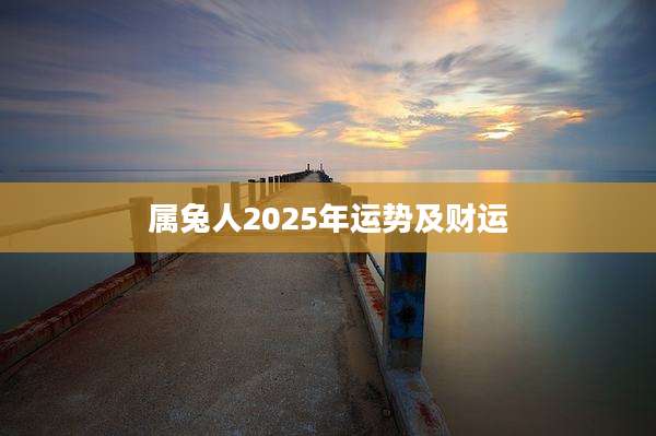 属兔人2025年运势及财运