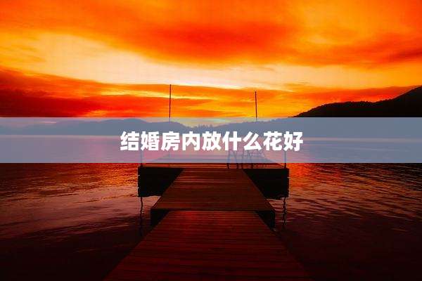 结婚房内放什么花好