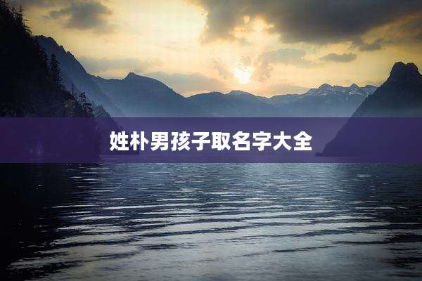 姓朴男孩子取名字大全
