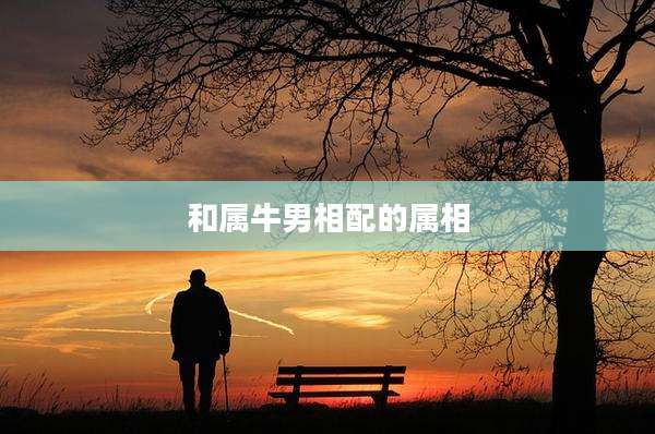 和属牛男相配的属相