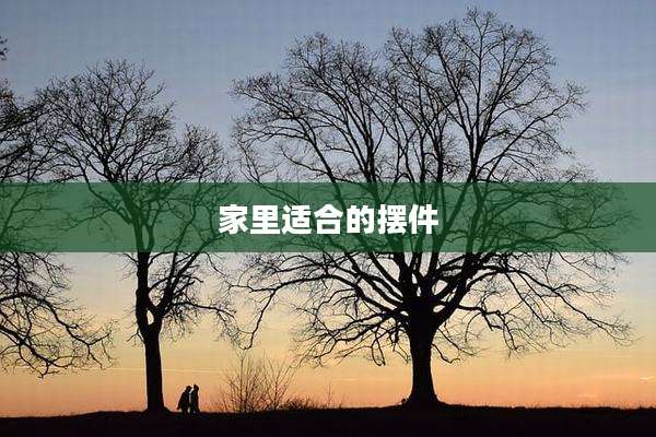 家里适合的摆件