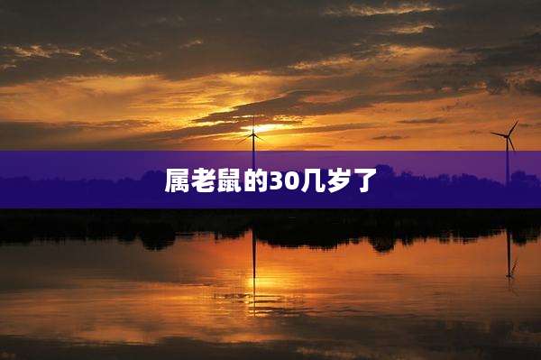 属老鼠的30几岁了
