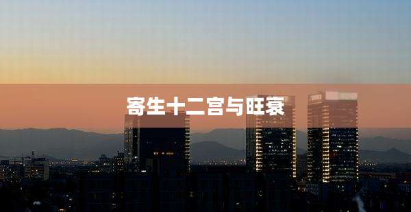 寄生十二宫与旺衰