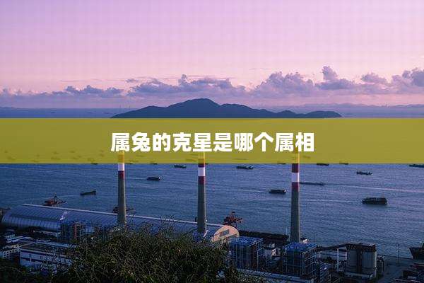属兔的克星是哪个属相