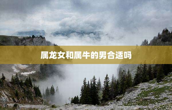 属龙女和属牛的男合适吗