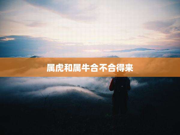 属虎和属牛合不合得来