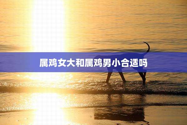 属鸡女大和属鸡男小合适吗