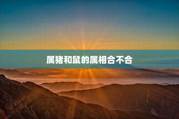 属猪和鼠的属相合不合