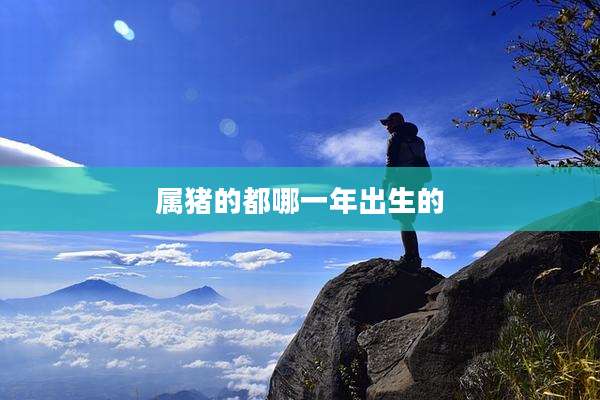 属猪的都哪一年出生的